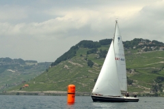 IMG_0791ps